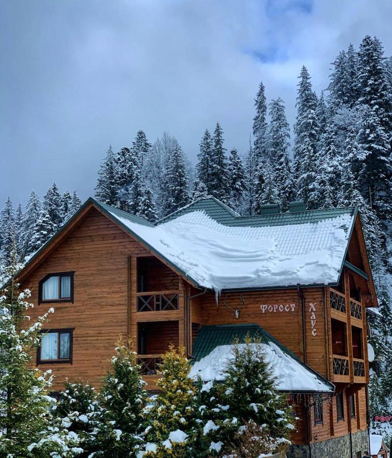Forest House Tatariv Kültér fotó