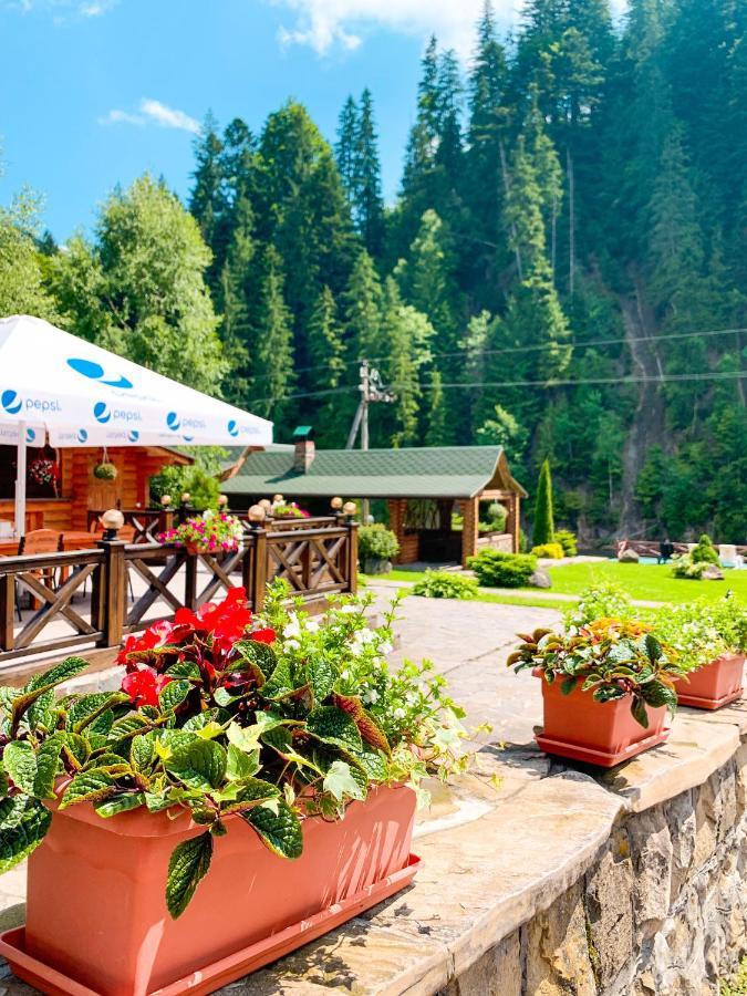 Forest House Tatariv Kültér fotó